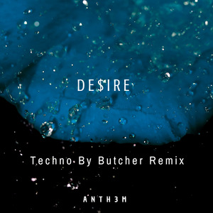 De$Ire (Techno By Butcher Remix)