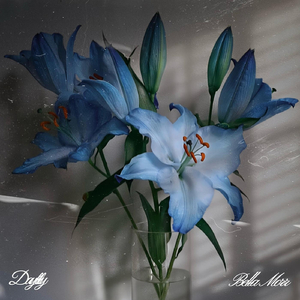 Daylily