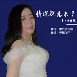 情深深意未了 (伴奏)