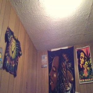 Concentration FREESTYLE