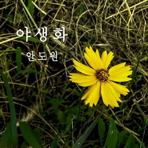 사랑이 온다