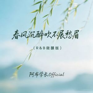 春风沉醉吹不展愁眉(R&B微醺版)