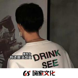 所念皆星河(热播版)