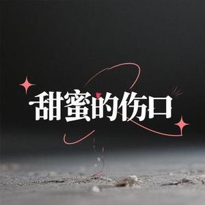 甜蜜的伤口 (小山 Remix)