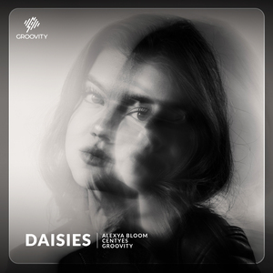 Daisies