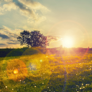 深い夢の果てで待っててね