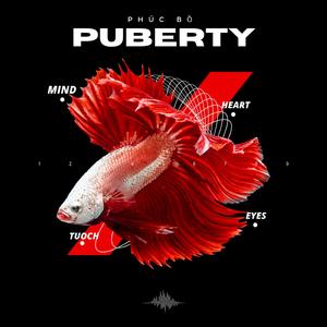 Anh nguyễn hải phong phiêu điệp khúc