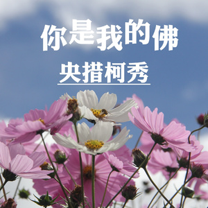 你是我的佛 (新版)