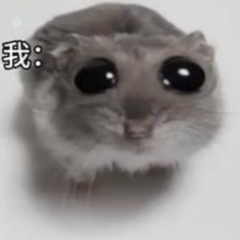 出生的小曲     搬运