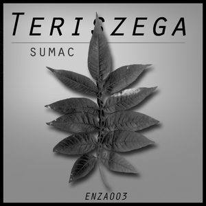 Sumac (Original Mix)