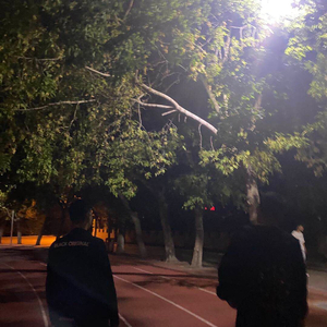 你的世界以后没有我了