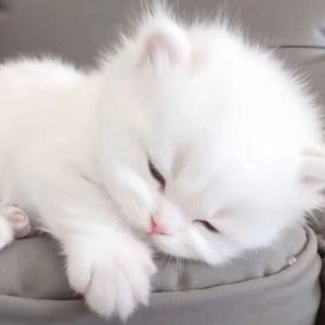 不想听见关于你的一切