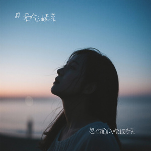 想你的风吹过冬天
