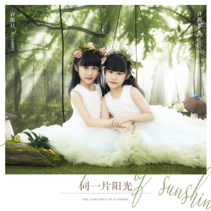 同一片阳光