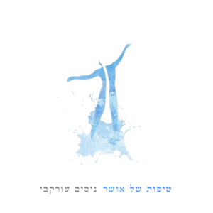 משה אבידור