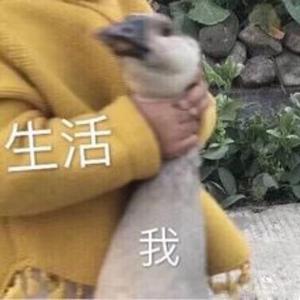 南崖叹