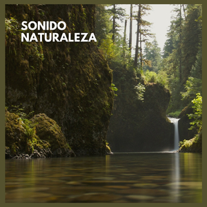 Sonido Naturaleza (04)