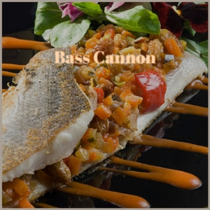 Sunlight (Ronnsn Radio Edit)