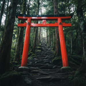 山に登って神に会いに行く