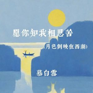 愿你知我相思苦(月色倒映在西湖)