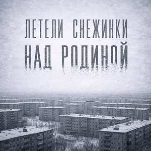 Летели снежинки над Родиной