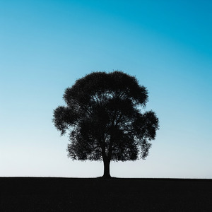 You and Me, Forevermore (Acoustic)