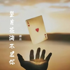 整片花海不见你