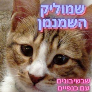 שמוליק השמנמן