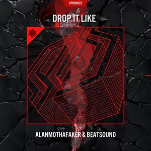 DROP IT LIKE [PDH0023]