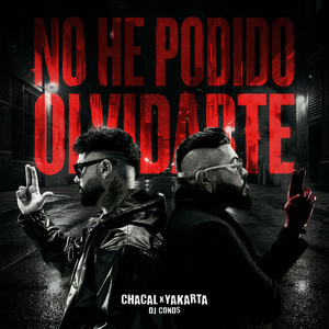 No He Podido Olvidarte