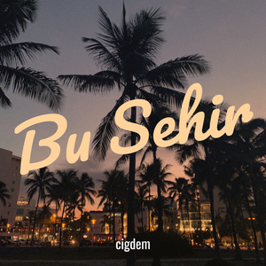 Bu Sehir