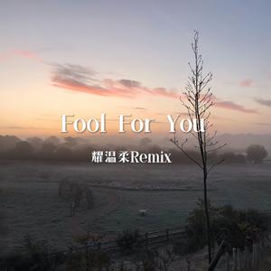 CeeLo Green-Fool For You（耀温柔Remix）（耀温柔 remix）