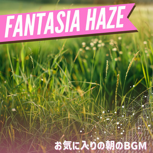 Curiosity What's Next?