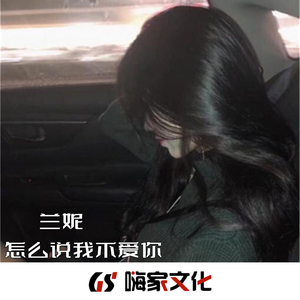 青花瓷(热播DJ版)