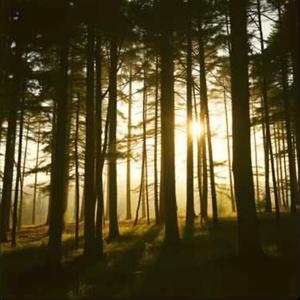 죽음과 삶 (AI Version)