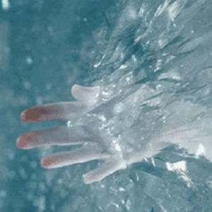 I like the way you talk baby