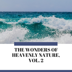 Rain and Thunder Sound