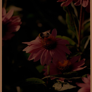 【泪痕】Boombap复古氛围走心嘻哈说唱伴奏 type beat