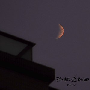 功夫胖KungFuPen-孤独症Remix（BanV remix）