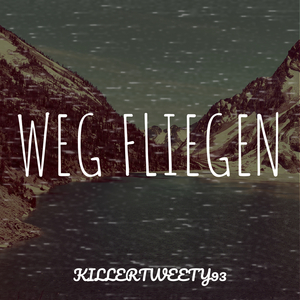 Weg Fliegen