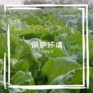 工厂加
