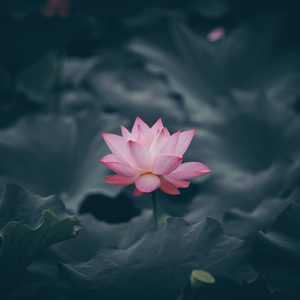 般若波罗蜜多心经（翻自：般禅梵唱妙音组，一遍跟唱原唱）