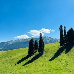 大火烧山 (Cover 晚姨)