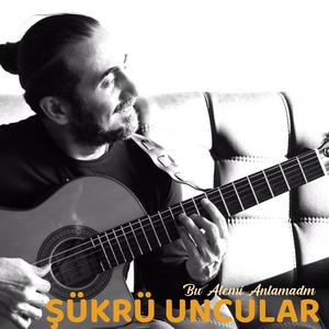 Bu Alemi Anlamadım