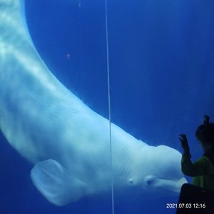 别再给我洗脑没用(PROD BY FaunmU)