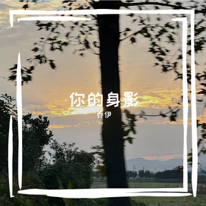 你的身影