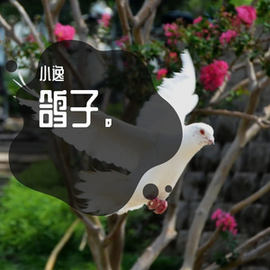 Screenrecorder20220417094814985