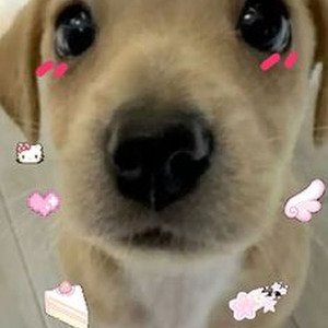 Don't Stop The Party (slowed)