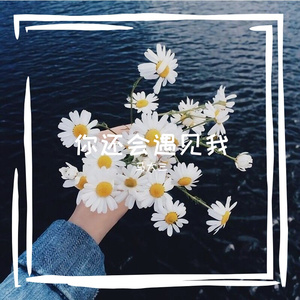 化身孤岛的鲸