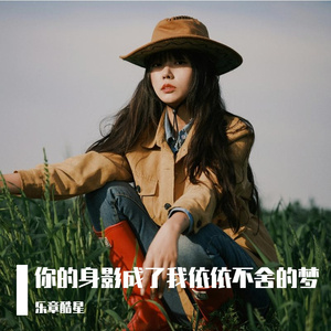 你的身影成了我依依不舍的梦